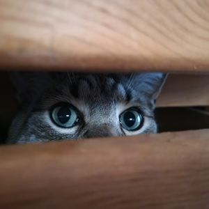 Meet your Posher, Juanelle